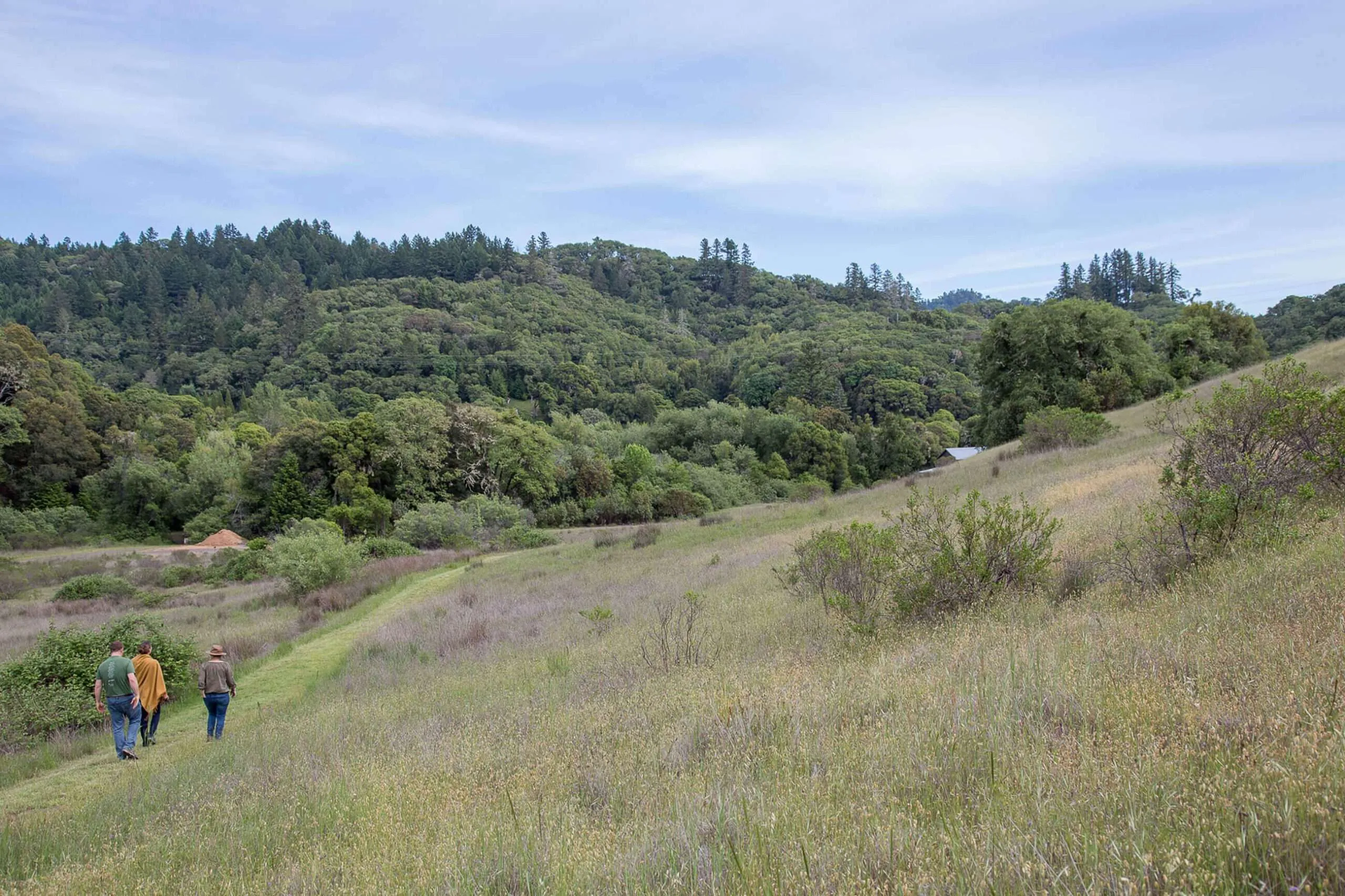 Retreats & Offsites